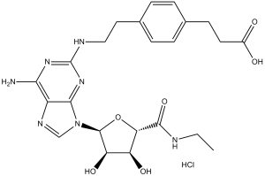 CGS 21680 HCl 124431-80-7